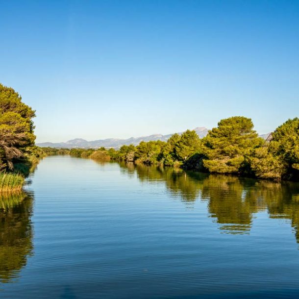 albufera alcúdia