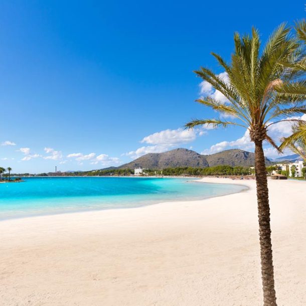 playa de alcúdia