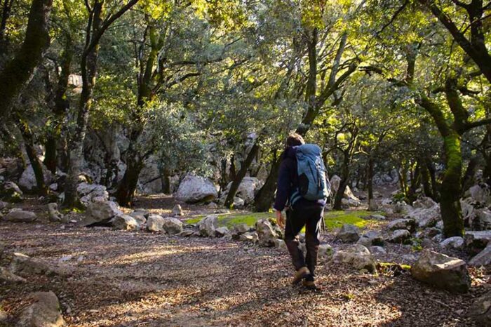 excursiones y paseos